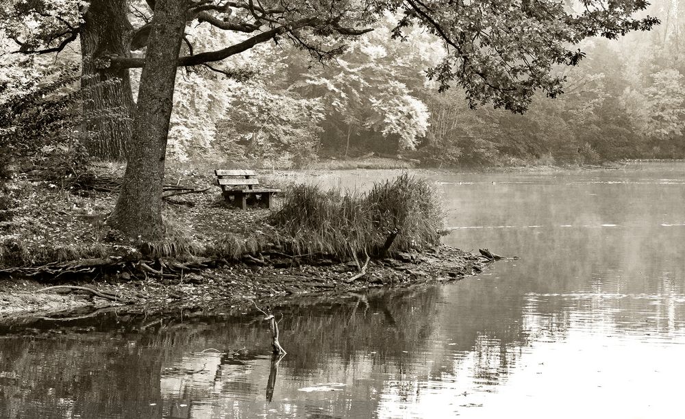 Die Bank unter Eichen am See