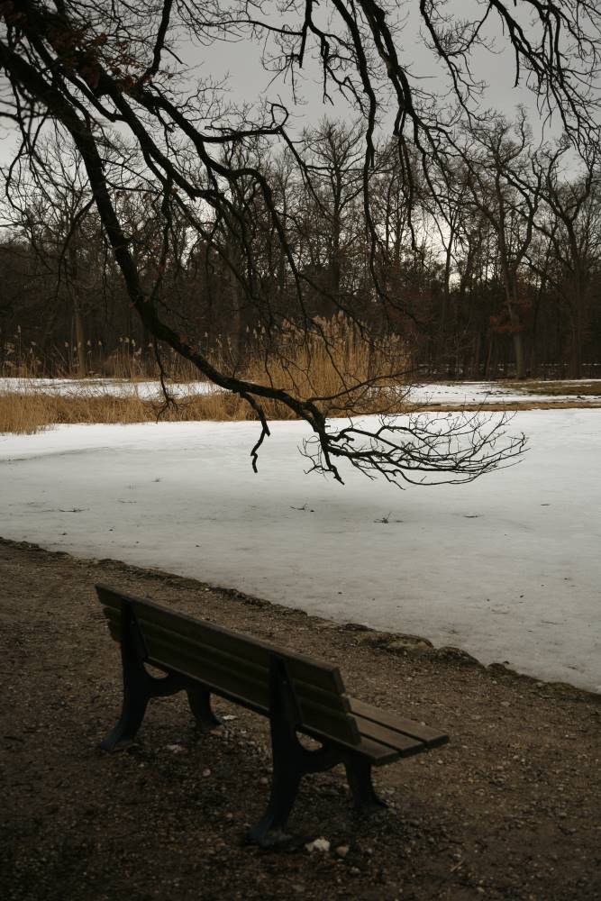 Die Bank wartet auf den Frühling