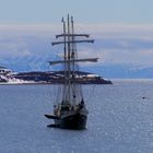 Die Barkentine ANTIGUA - Isfjorden, Westspitzbergen