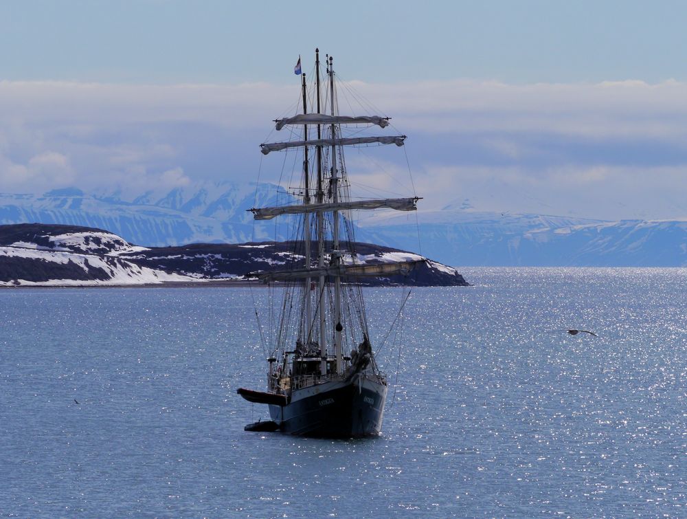 Die Barkentine ANTIGUA - Isfjorden, Westspitzbergen