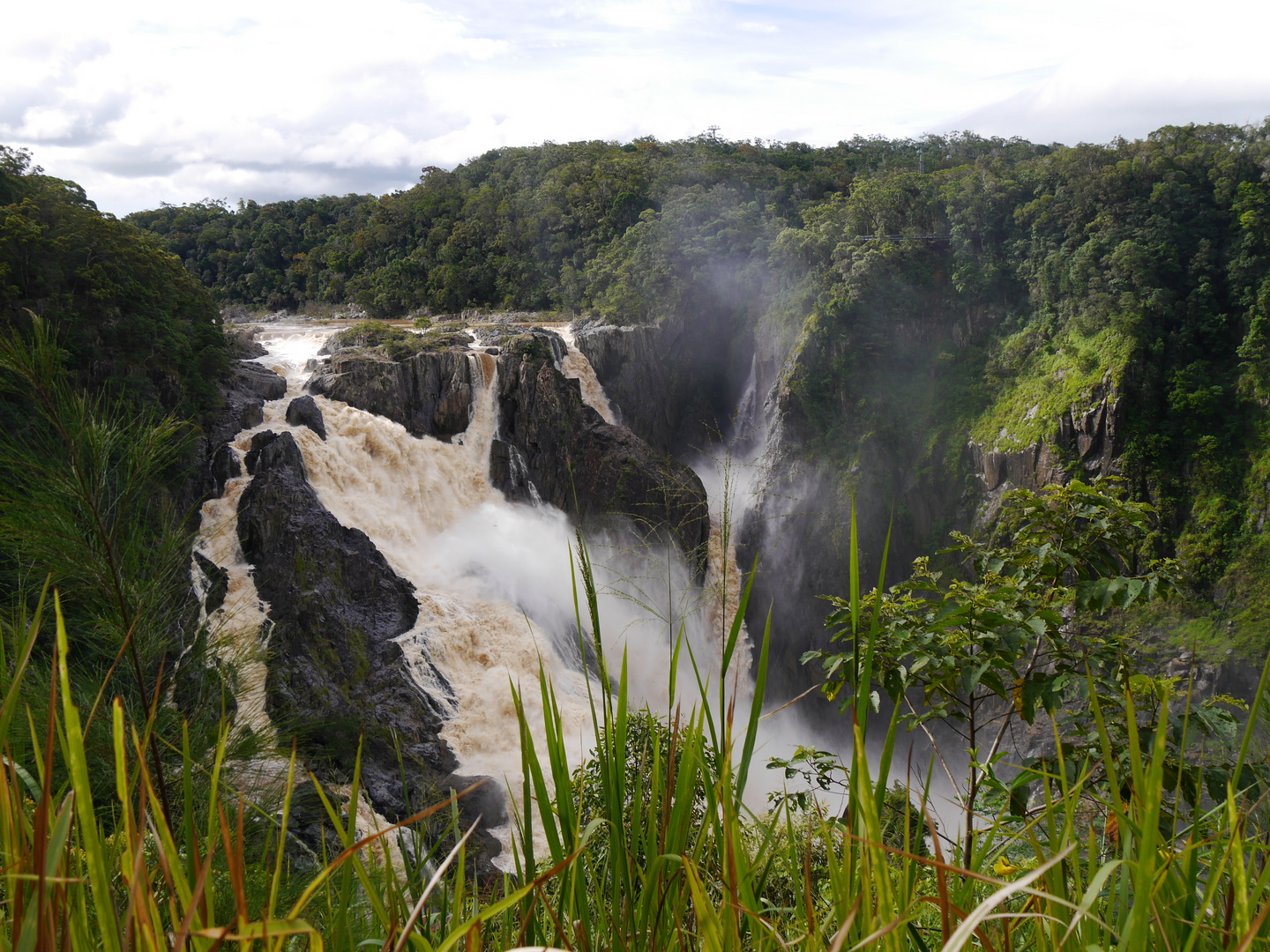 Die Barron Falls in Queensland - Australien