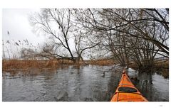 Die Barthe bei Hochwasser