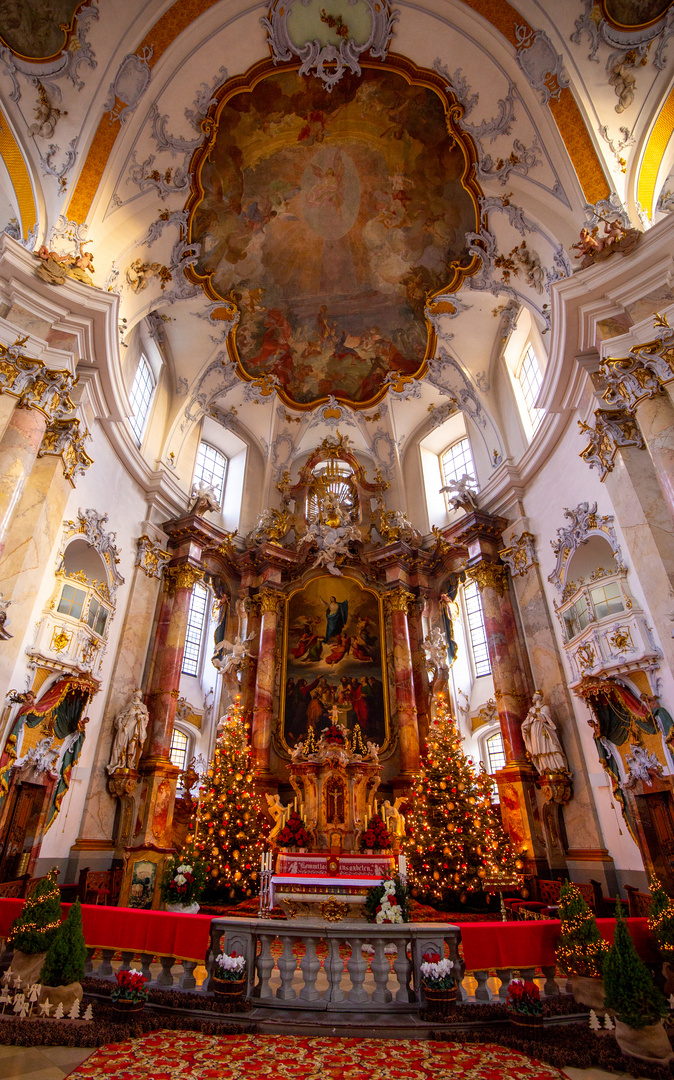 die Basilika Vierzehnheiligen - das Gewölbe wie der Himmel über uns (2)