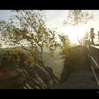 Die Bastei im Sonnenaufgang (8)