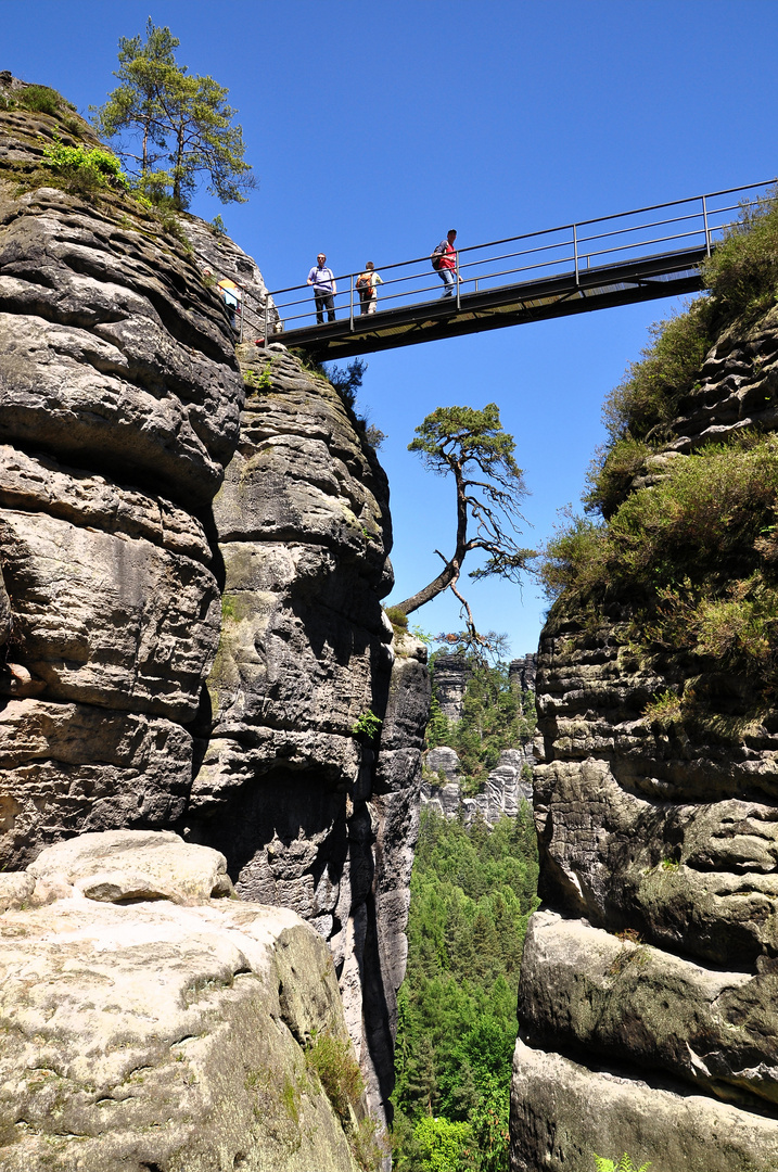 Die Bastei in derSächsischen Schweiz / im Elbsandsteingebirge --------# 2