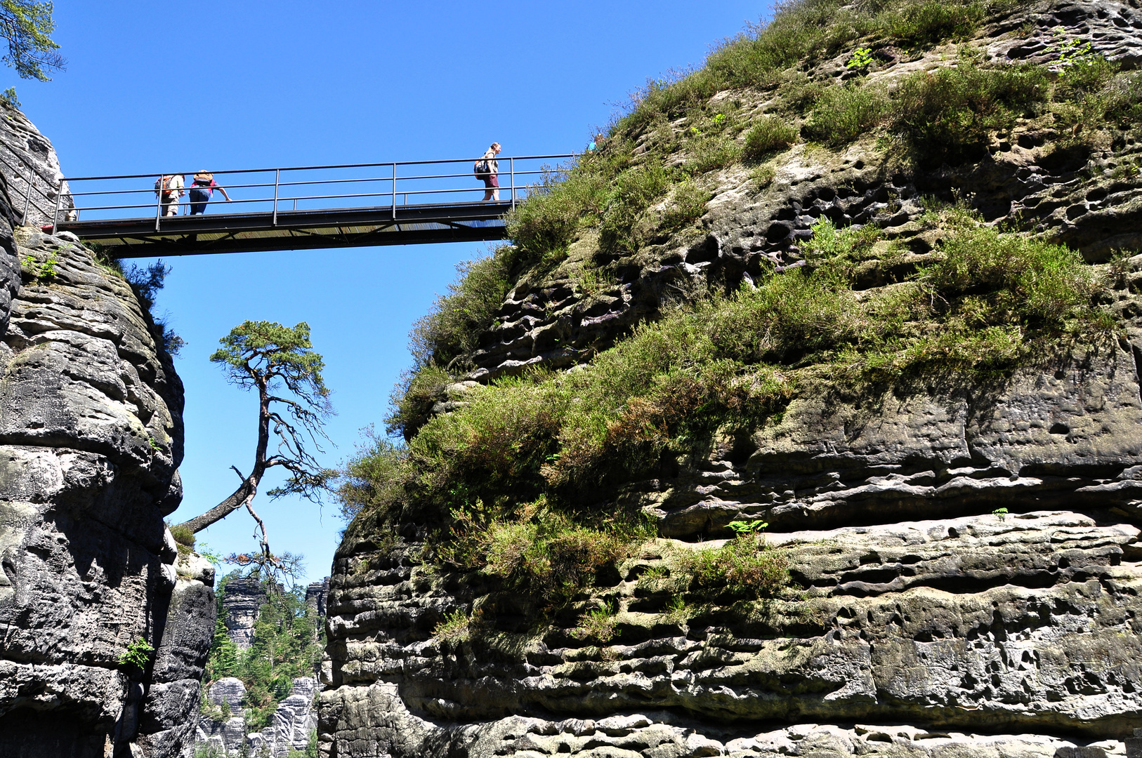 Die Bastei in derSächsischen Schweiz / im Elbsandsteingebirge --------#3