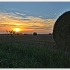 Die Bauern haben ihr Getreide in der Scheune