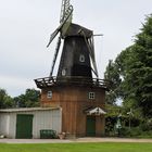 die Bauernwindmühle von Dellstedt in Dithmarschen