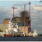 Die Baukräne der Elbphilharmonie