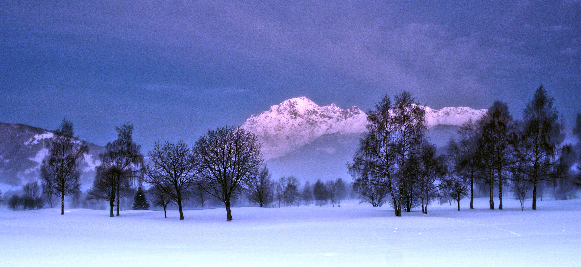 Die Baumgeister am Morgen