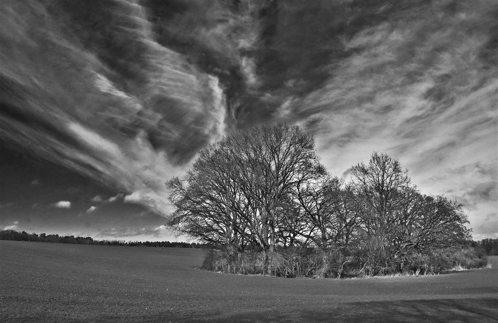 Die Baumgruppe und die Wolken....