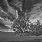 Die Baumgruppe und die Wolken....