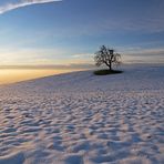 Die Baumhütte am Rande der Welt