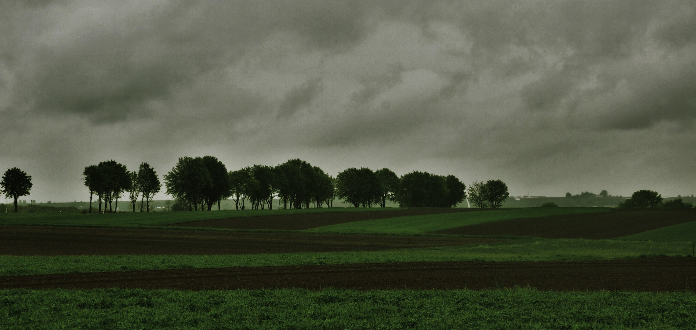 Die Baumreihe......nicht immer ist das Wetter gnädig