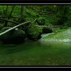 Die Baumschlange am Bach