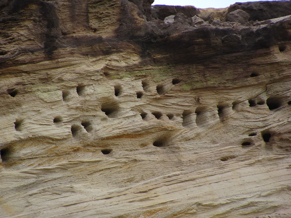 Die Bauten - ca. in 5-6 Meter Höhe