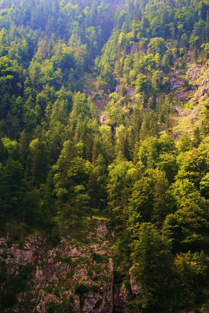 Die Bavarische Alpen, Berchetesgaden,.