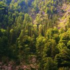 Die Bavarische Alpen, Berchetesgaden,.