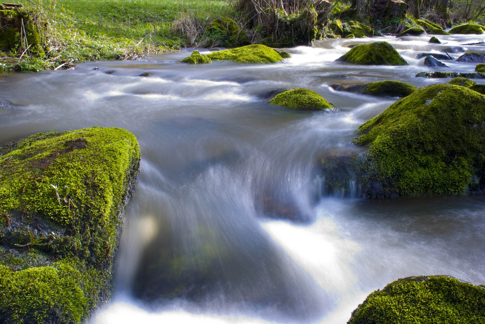 Die bayerische Lunge, eine Perle der Natur