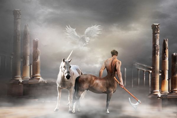 117 - Fabelwesen Pferd Bilder & Fotos