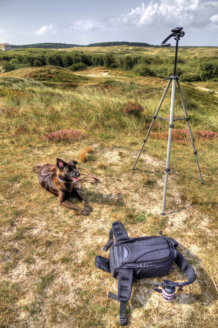 Die Begeisterung meines Hundes beim Fotografieren.