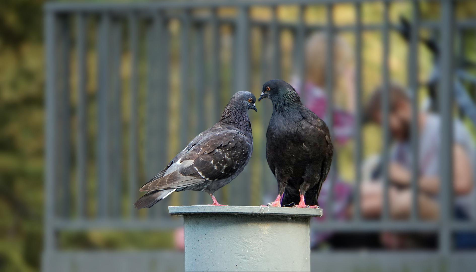 Die beiden lieben sich