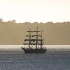 die "Belem" vor Douarnenez