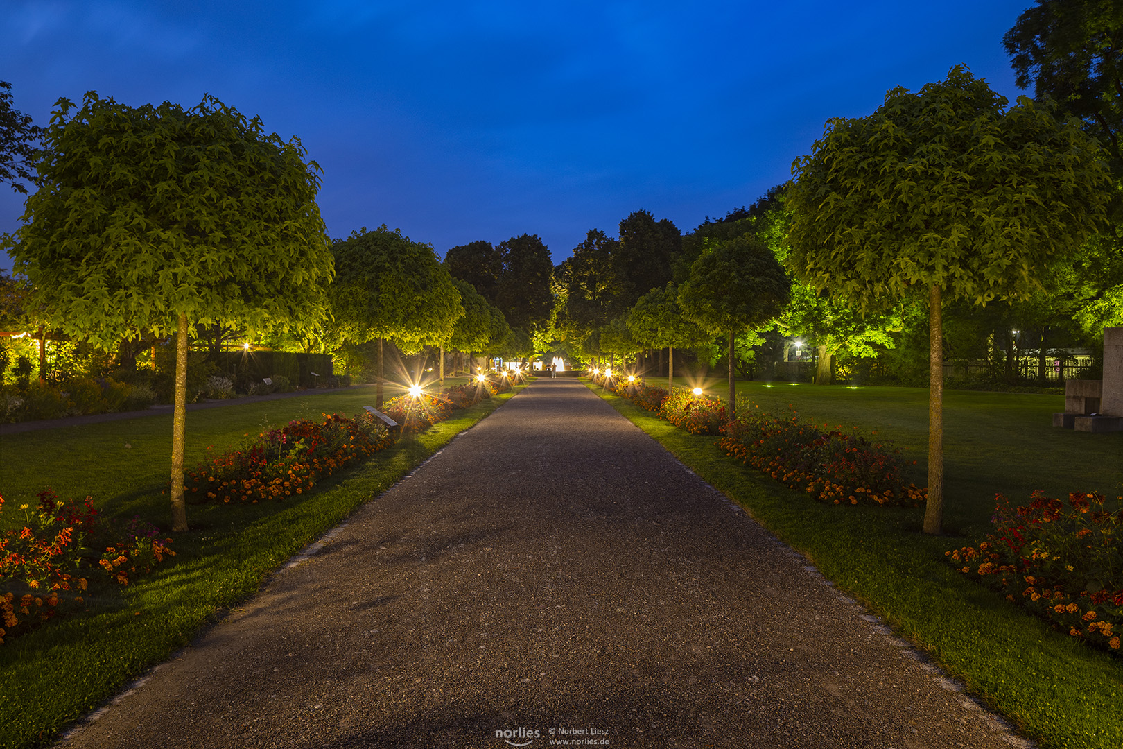 Die beleuchtete Allee