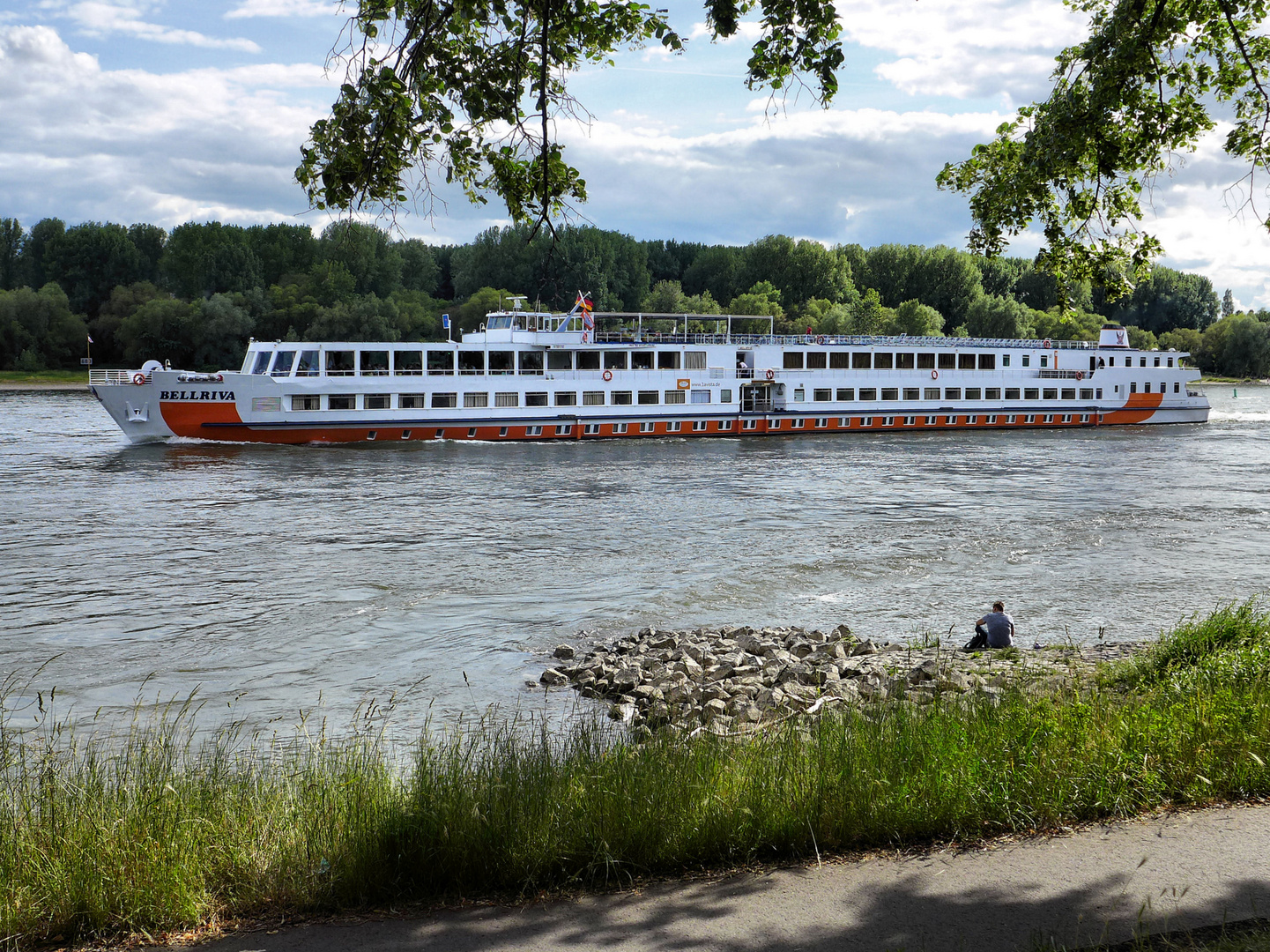 Die BELLRIVA auf dem Rhein bei Köln