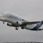 Die Beluga beim Abflug von Finkenwerder