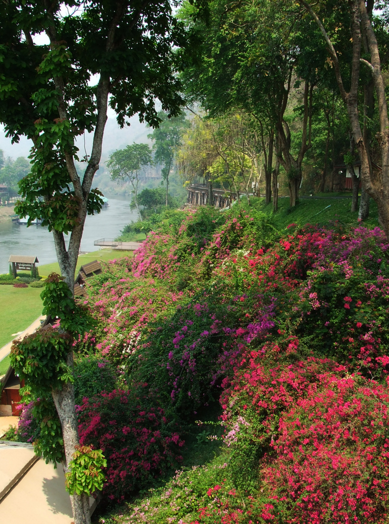 Die berauschende Natur Thailands