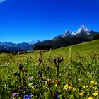 Die Berchtesgader Berge