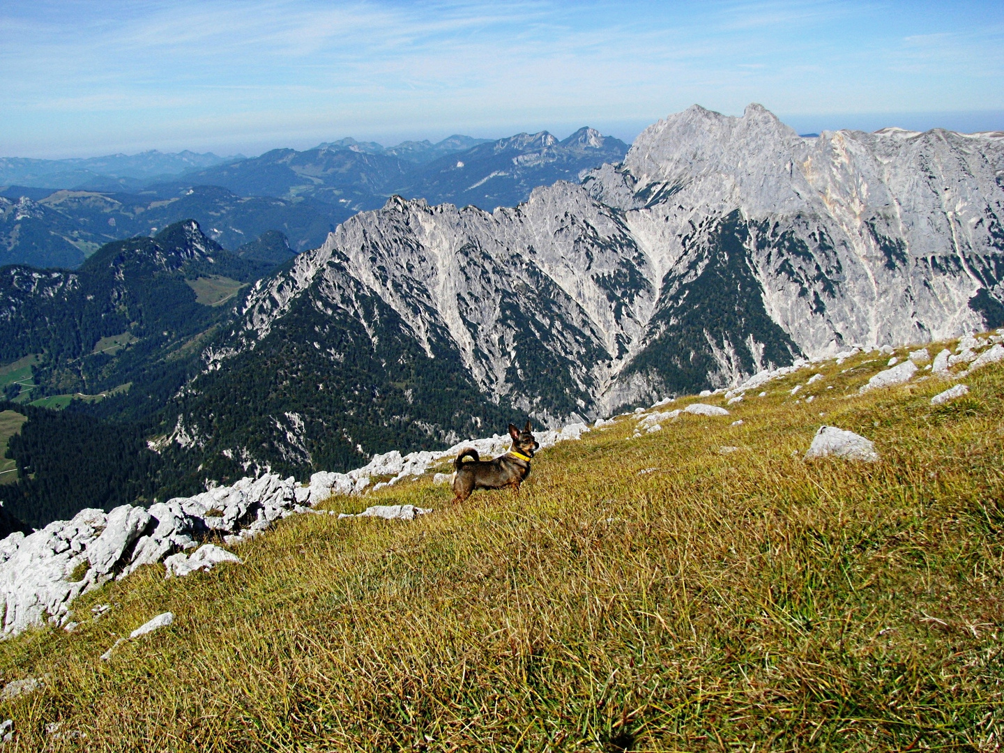 Die Berg-Peppi