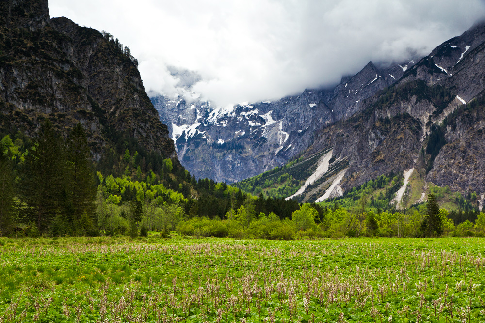 Die Berge am Almsee II