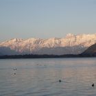 Die Berge ums Zellersee Österreich