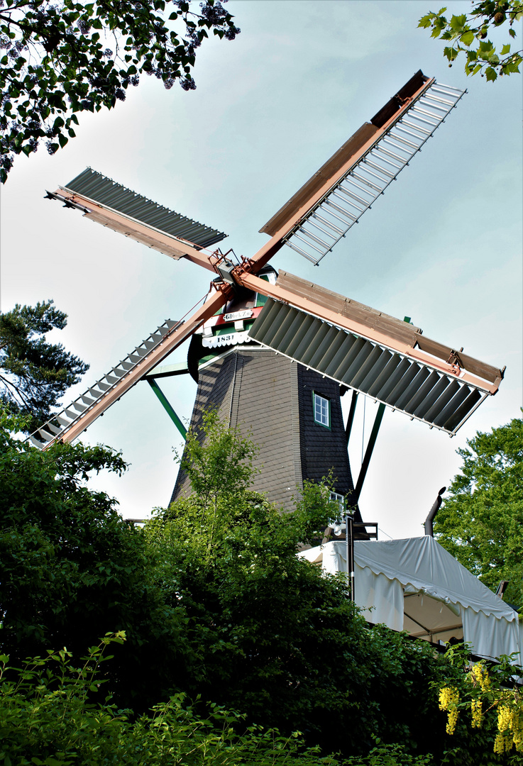 Die Bergedorfer Mühle