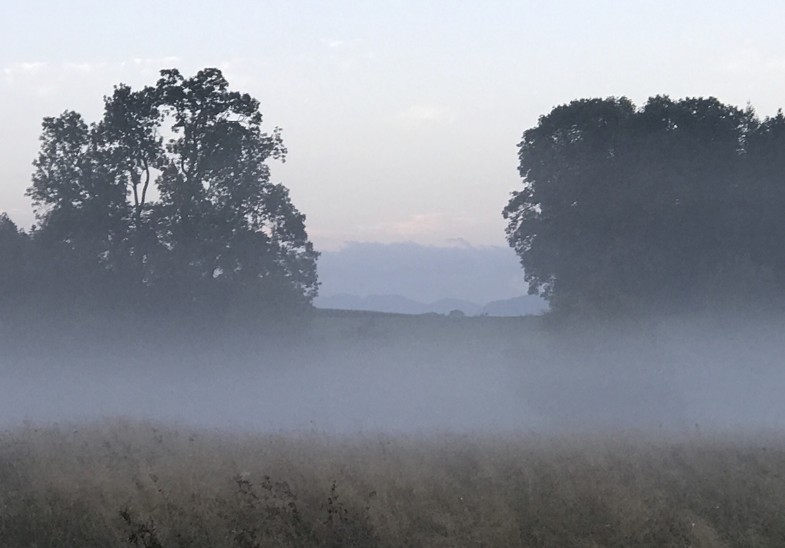 Die bergen in Sicht 