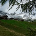 Die Berger Alm am Rande des Winters