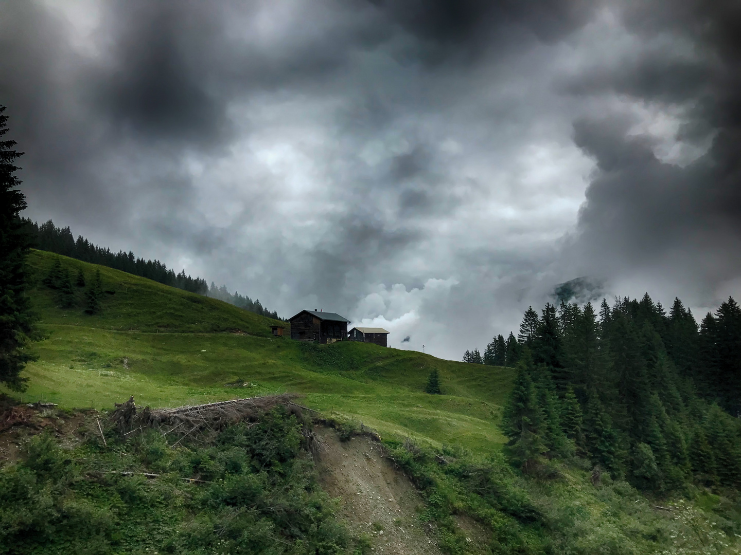 Die Berghütte (IMG_2973)