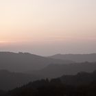 Die Bergischen Wälder im Abenddunst ...