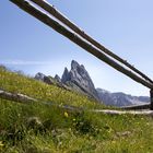 Die Bergspitze aus der Perspektive eines Grashüpfers