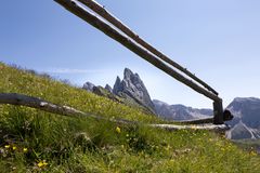 Die Bergspitze aus der Perspektive eines Grashüpfers