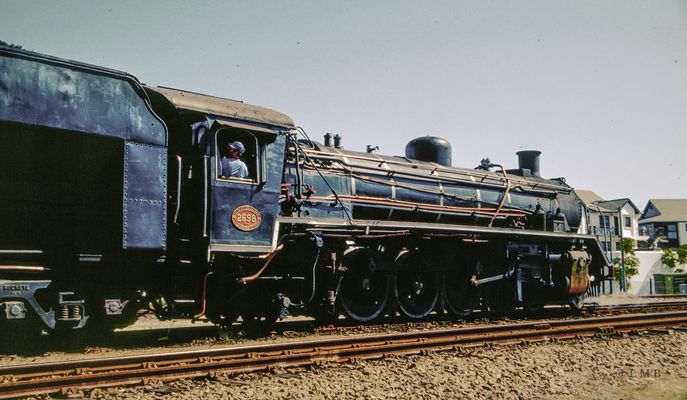 Die Berlinerin vom Kap