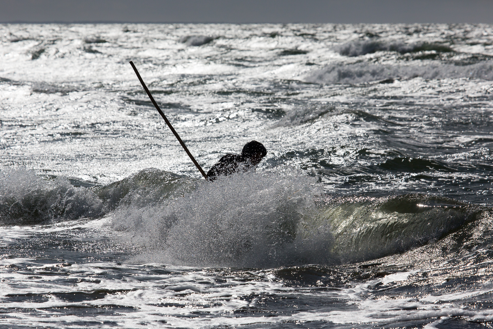 die Bernsteinfischer von Hiddensee