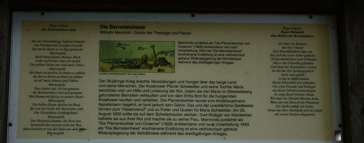 Die Bernsteinhexe