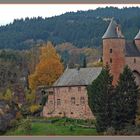 Die Bertradaburg in Mürlenbach ( Eifel )