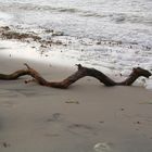 Die berühmte mecklenburger Seeschlange ;-)