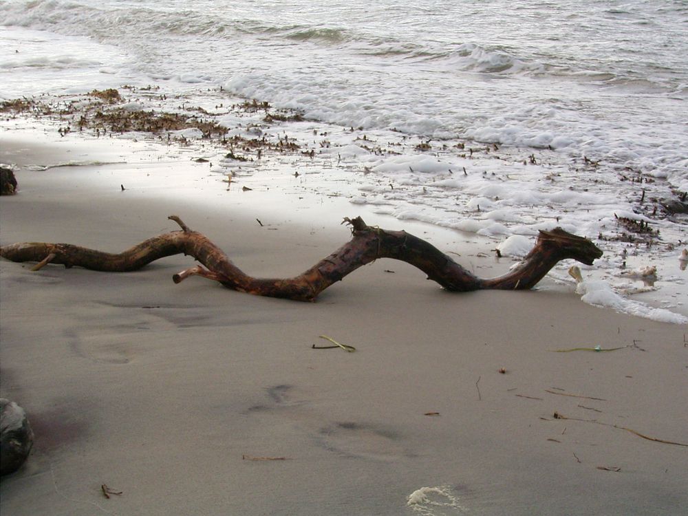 Die berühmte mecklenburger Seeschlange ;-)