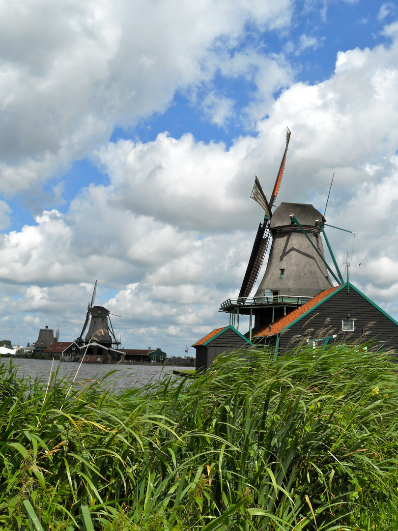 Die berühmten Windmühlen