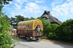 die Besondere Insel Hiddensee 